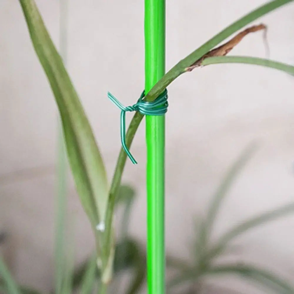 20/50/100m Garden Cable Ties Plant Climbing Lines Plant Twist Ties Power Wire Loop Tape Flower Plant Support Strap Tie