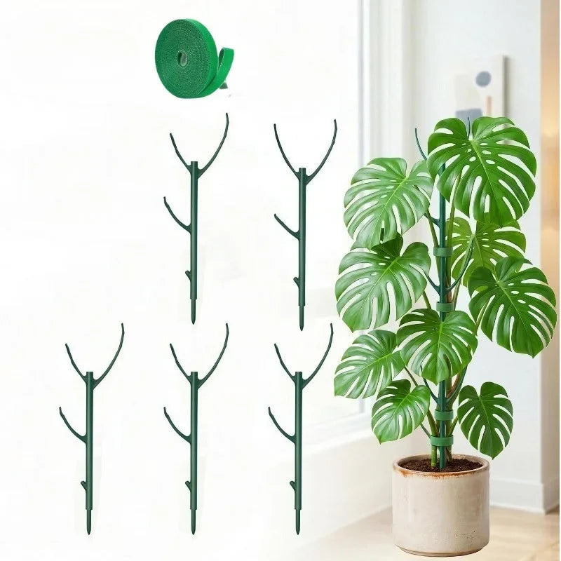 Monstera Plant Support Stakes 5 Support Frames and 1 Roll Velcro, Garden Stakes Designed Specifically Climbing Plant Stems