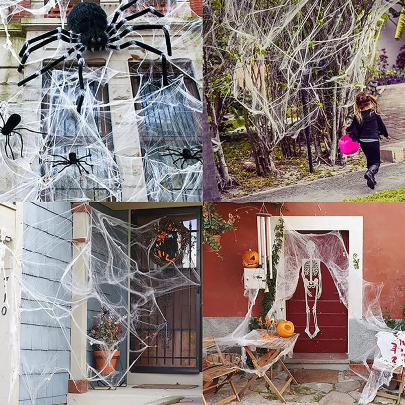 Artificial Spider Web Halloween Decoration with Spider