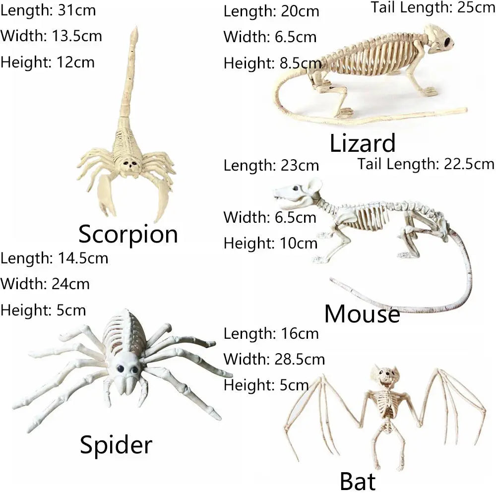 Halloween Animal Skeleton Model, Spider, Mouse or Bat