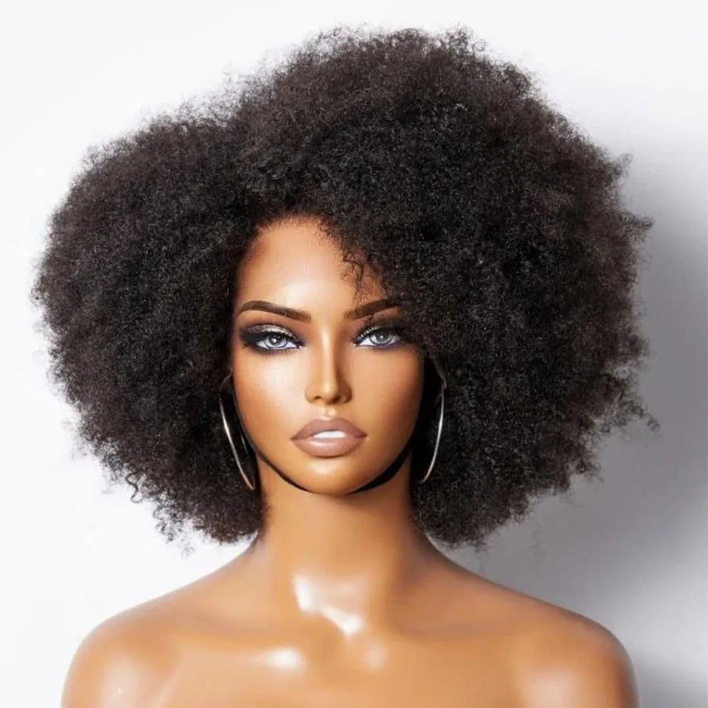 Afro Wigs for Black Women Kinky Curly Lace Front Wig Afro Short Bob Human Hair Wig 13x4x2 HD Lace Natural Hairline 250% Density