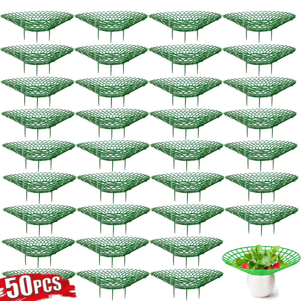 5-50Pcs Strawberry Plant Supports with 3 Sturdy Legs Strawberry Growing Racks Protector Frame Holder Cage From Mold Rot Dirt
