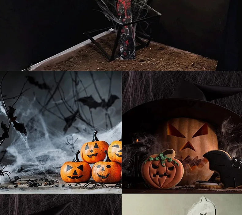 Halloween Spider Web Cobweb Decoration with Two Spider Props