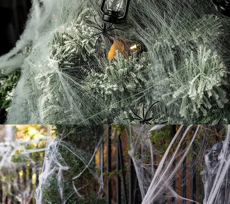 Halloween Spider Web Cobweb Decoration with Two Spider Props