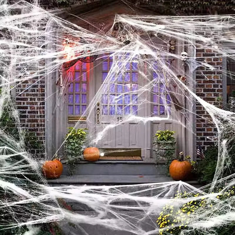 Halloween Spider Web Cobweb Decoration with Two Spider Props