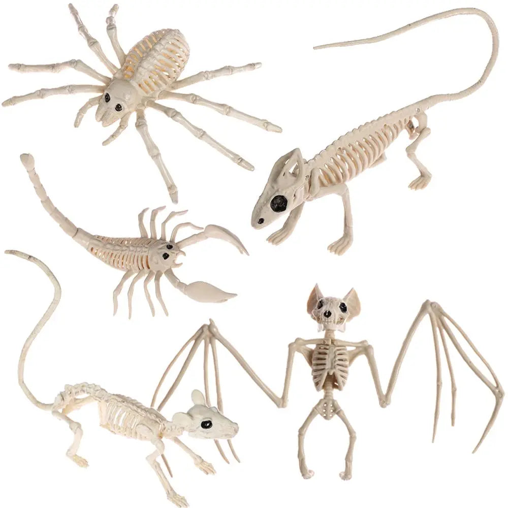 Halloween Animal Skeleton Model, Spider, Mouse or Bat