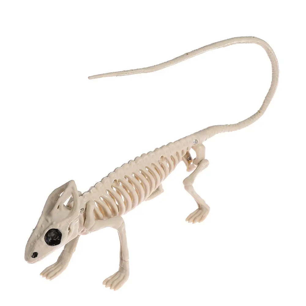 Halloween Animal Skeleton Model, Spider, Mouse or Bat