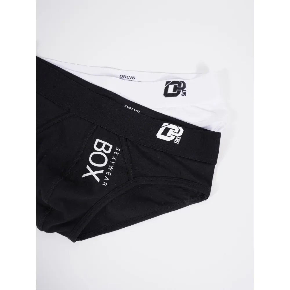 1/2Pcs High Quality Low Waist Sexy Mens Underwear Briefs Letter Print Men's Lingerie Cotton Men's Briefs Bikini Man Underpants