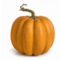Autumn Pumpkin Decoration with Retro Stem Detail, 1 Piece