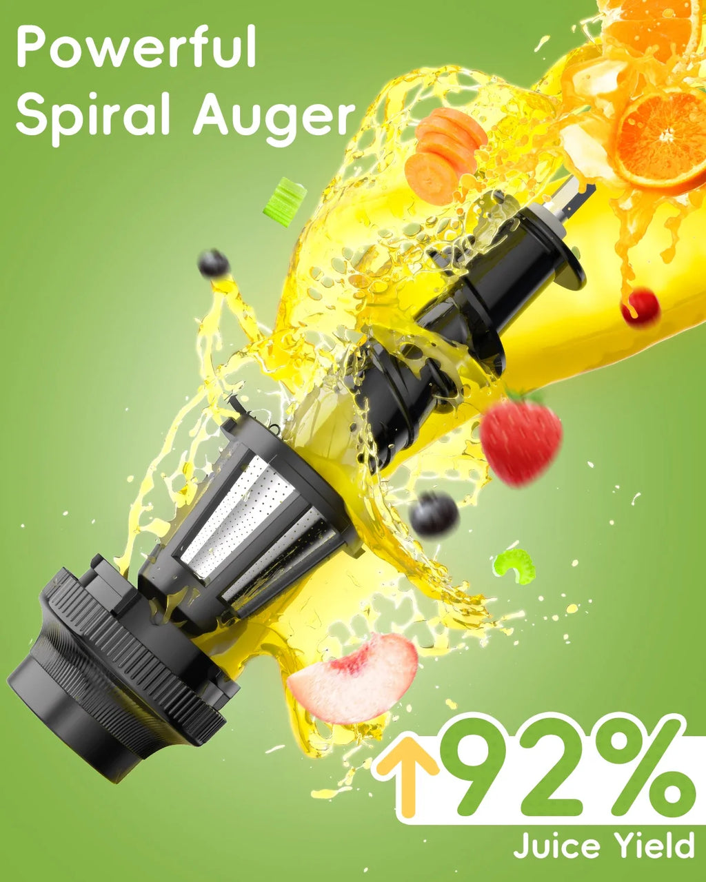 BioloMix SJ-012 Slow Masticating Juicer with Reverse Function, 800 mL