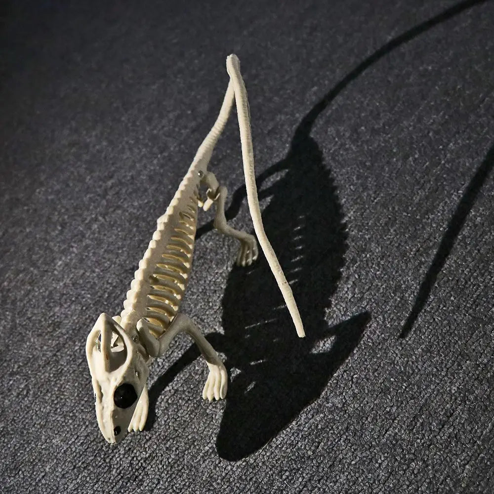 Halloween Animal Skeleton Model, Spider, Mouse or Bat
