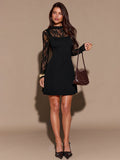 Lace-panel Dress With A Mock Neck And Long Sleeves