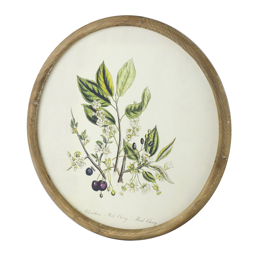 S/4 D19.7" Flora Print Round Frame