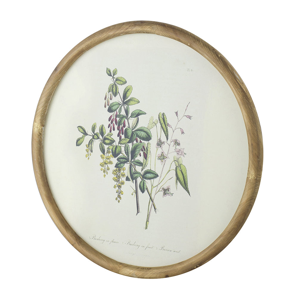S/4 D19.7" Flora Print Round Frame