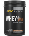 Bigjoy On The Go Whey+Plus Chocolate Protein Supplement 756g