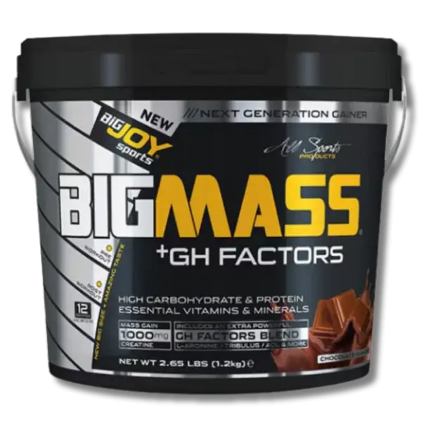 Bigjoy Sports Big Mass +GH Factors Gainer Powder 5000g