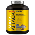 Bigjoy Sports Mass Attack High Calorie Gainer Powder 3000g