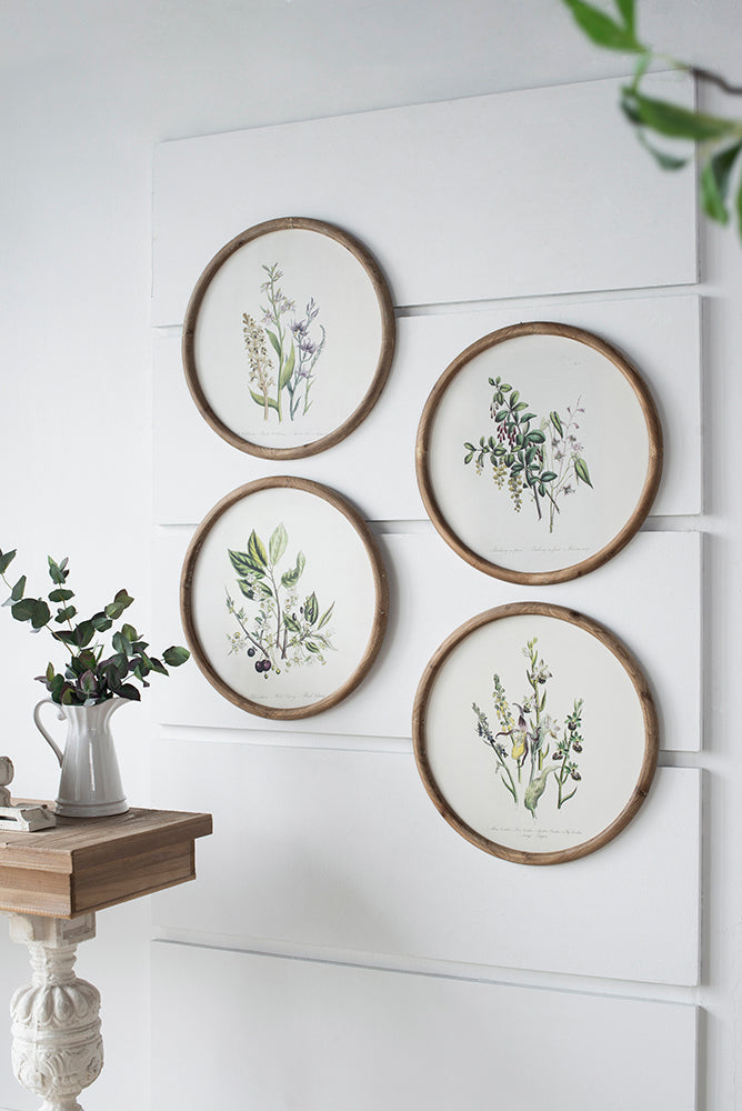 S/4 D19.7" Flora Print Round Frame