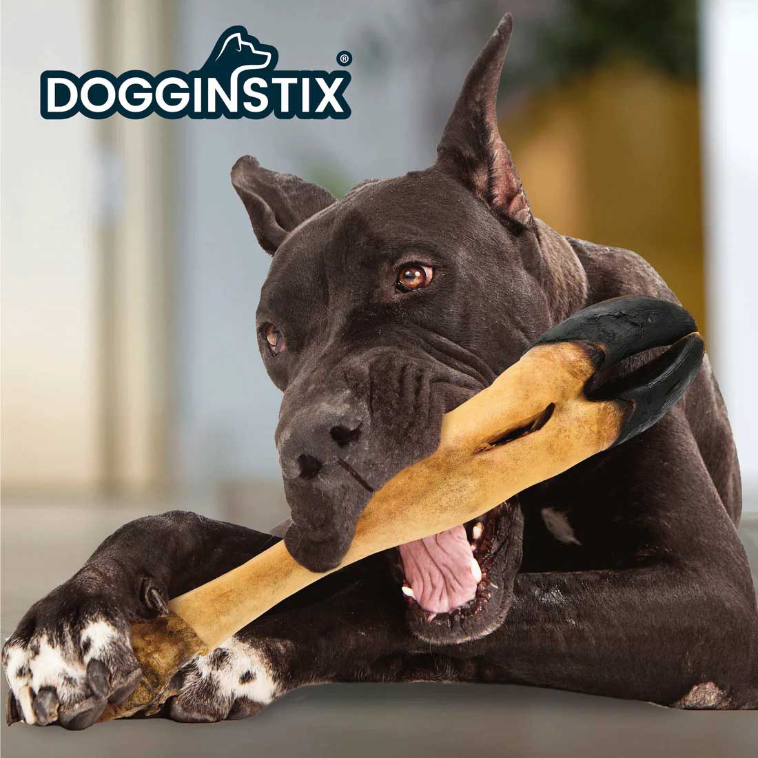 Dogginstix Beef Foot Dog Chew – Four Treats in One, Ideal for Small to Medium Dogs
