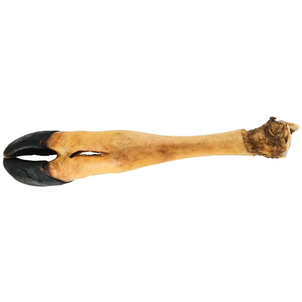Dogginstix Beef Foot Dog Chew – Four Treats in One, Ideal for Small to Medium Dogs