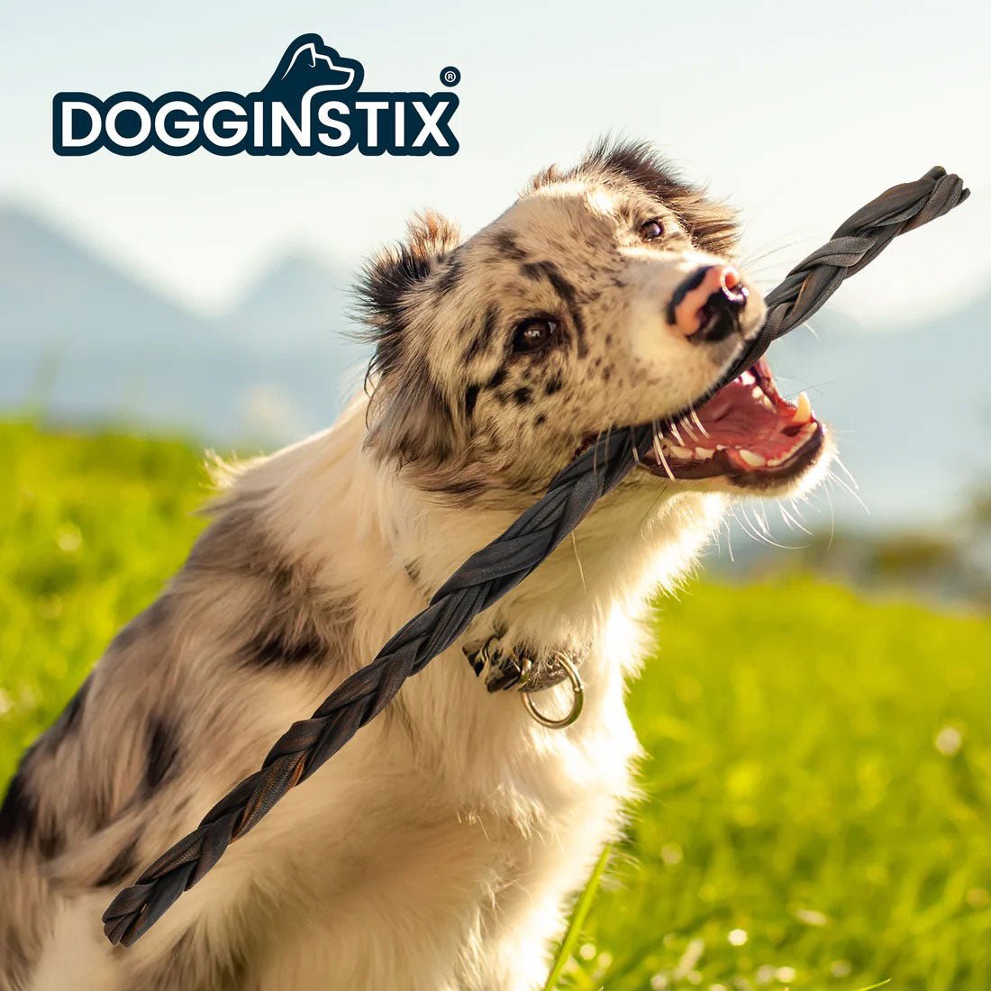 Dogginstix Braided Lamb Collagen Dog Chew – Long Lasting, Digestible, High Protein Rawhide Alternative