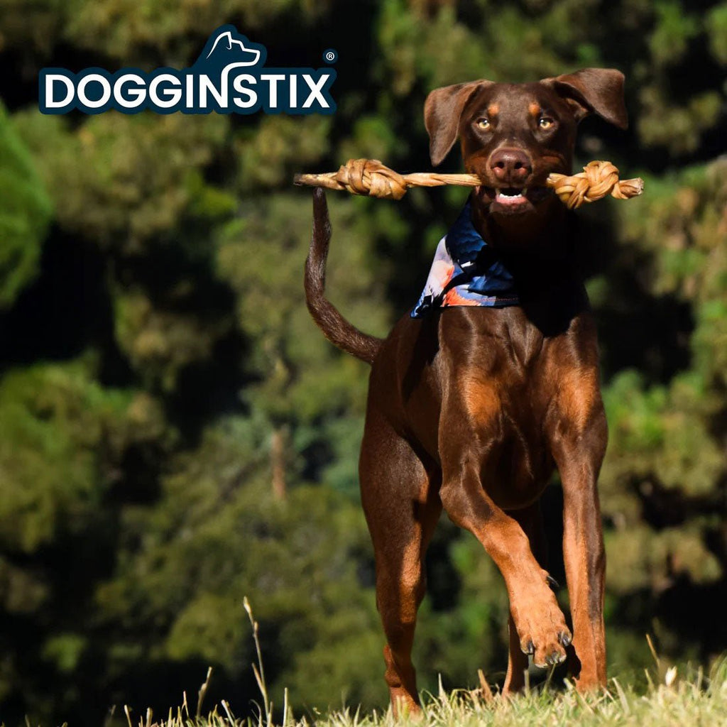 Dogginstix Braided Lamb Collagen Double Knot Dog Chew – Natural, Grass-Fed, Low Fat Treat