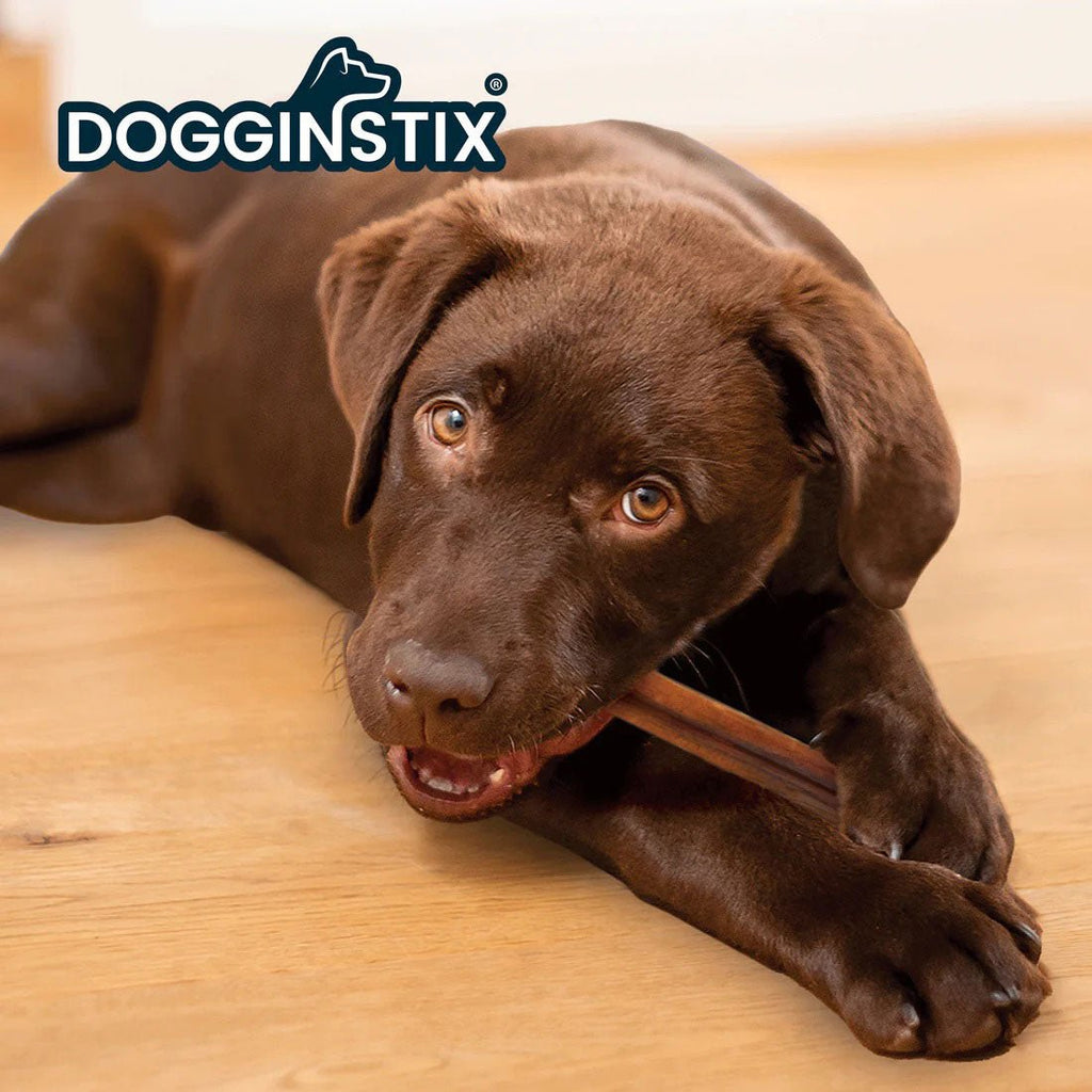 Dogginstix Bully Stick Dog Chew, All-Natural, Grass-Fed Beef, Odor-Free