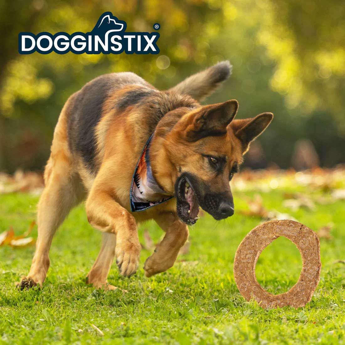 Dogginstix Lamb Collagen Cosmic Donut Dog Chew & Toy – Natural, Grass-Fed, Low Fat