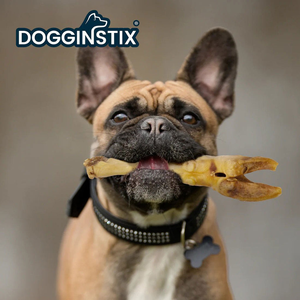 Dogginstix Lamb Foot Chew Dog Treat – Four Treats in One, Ideal for Small to Medium Dogs