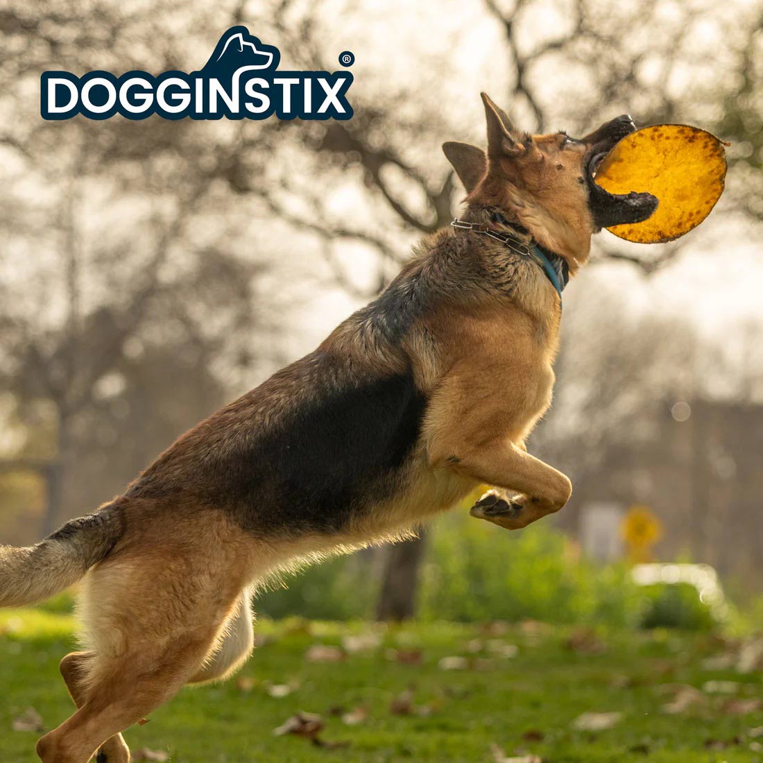 Dogginstix Natural Beef Collagen UFO Dog Chew & Toy – Long Lasting, Digestible, High Protein