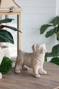 8.5x4.5x8.1" Standing Bulldog Figurine