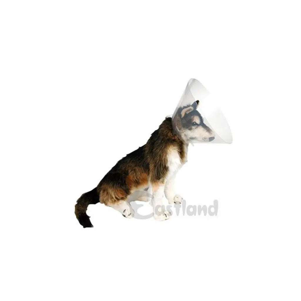 Eastland Elizabeth Protective Pet Collar 20cm