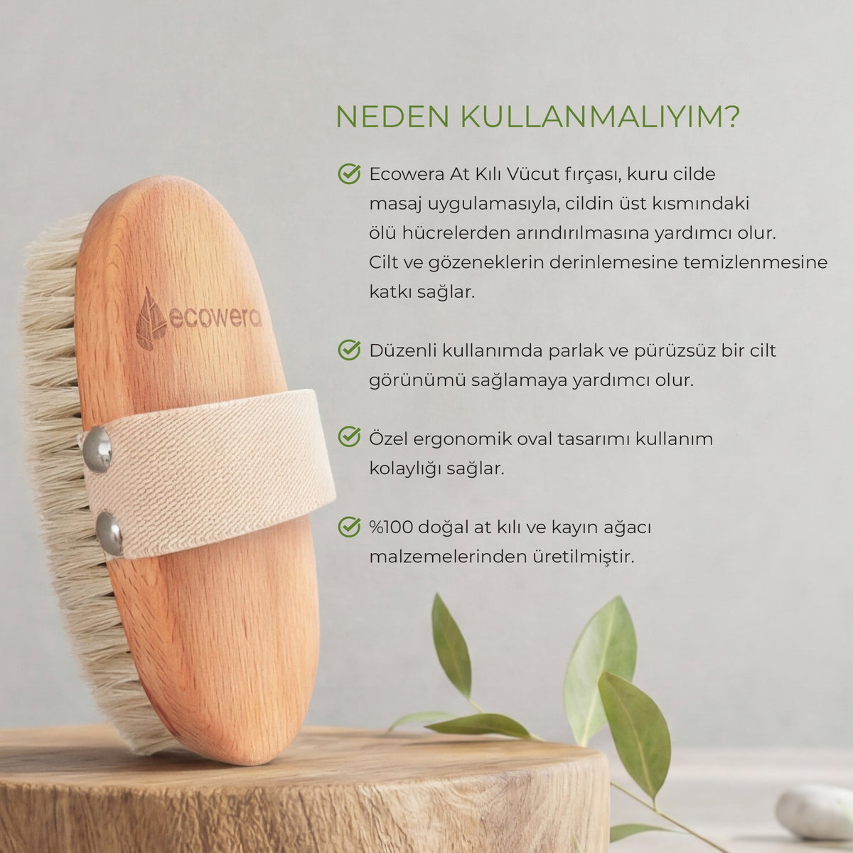 Ecowera Natural Horse Hair Body Brush for Smooth Skin