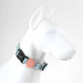 Lindo Touch Dog Collar Adjustable Medium 37-56cm