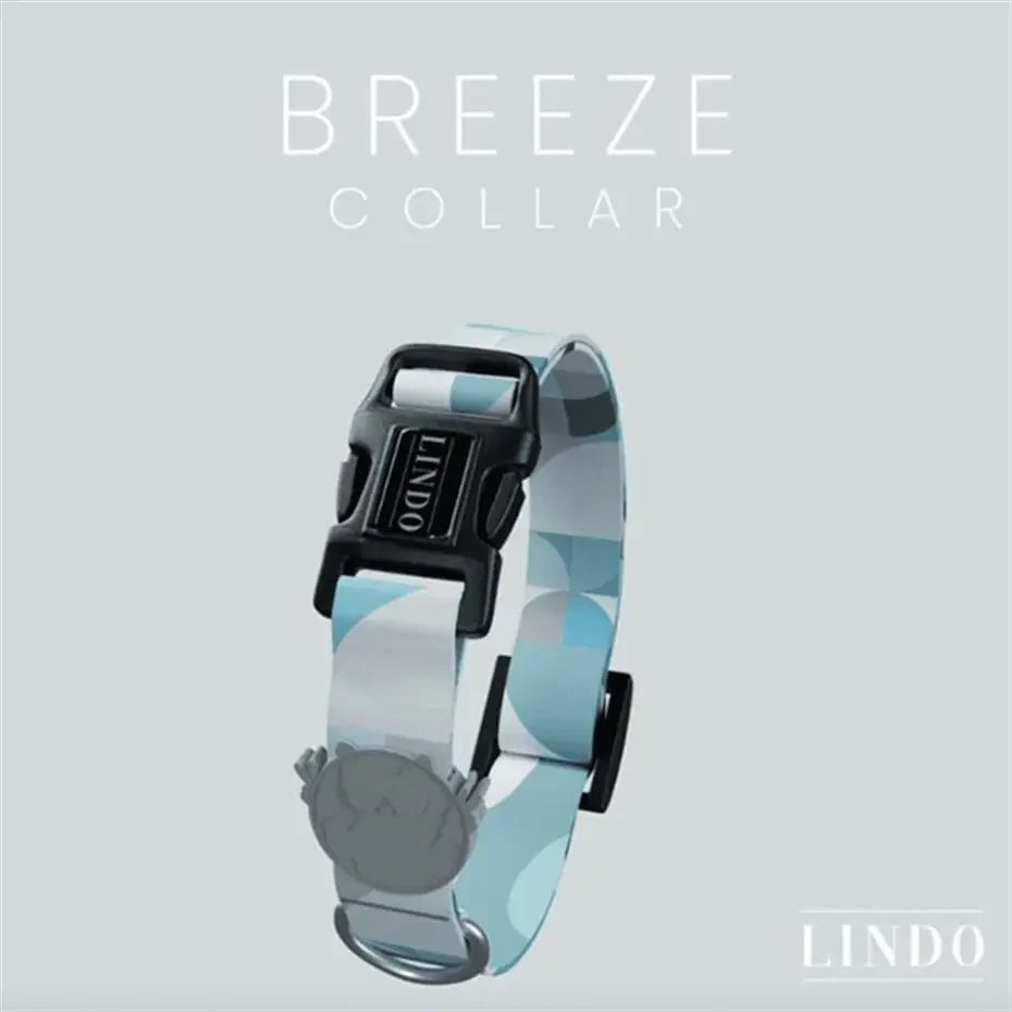 Lindo Breeze Dog Collar Small Stylish Adjustable Design 30-44cm
