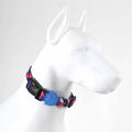 Lindo Pink Dream Dog Collar Stylish Pattern Small 30-44cm