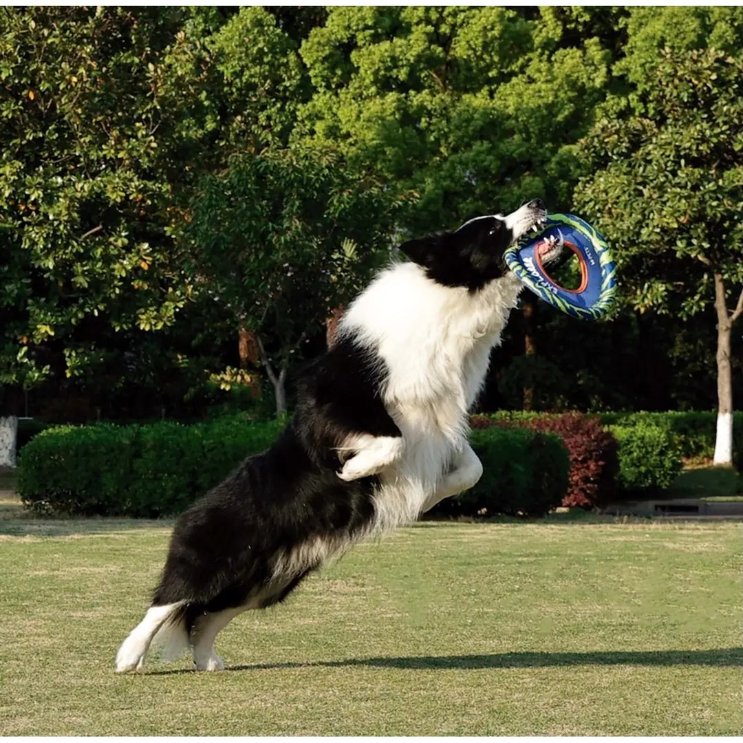 M-Pets Sprintpuff Flying Disc Dog Toy for Active Play