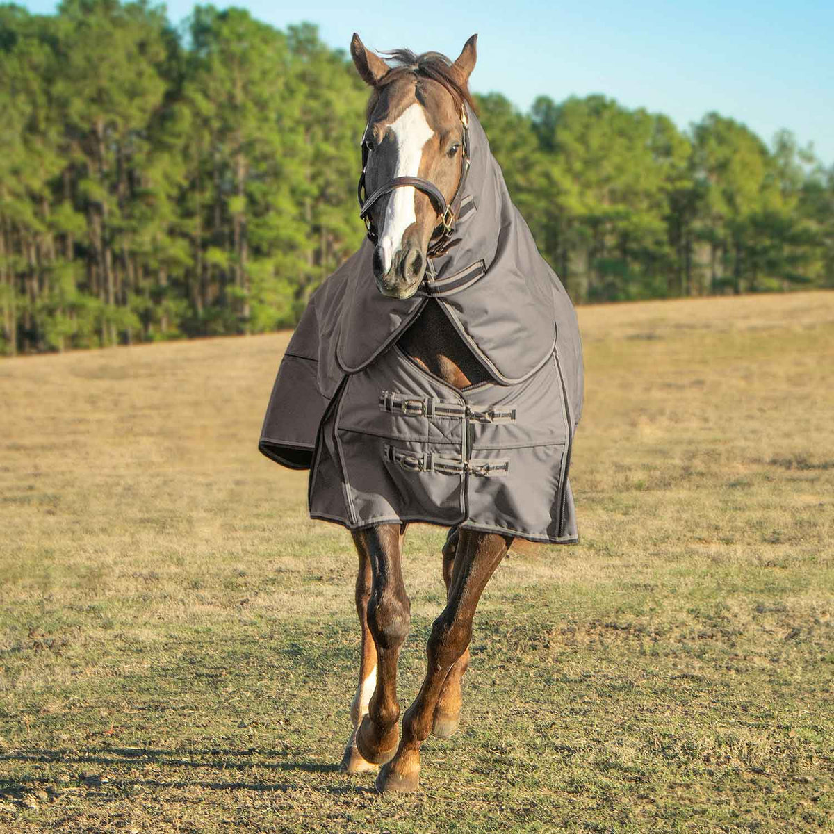 Jeffers Poplar Head "Defense" 1680 Denier Turnout Blanket with Detachable Neck, 240 Gram, Plymouth Brown