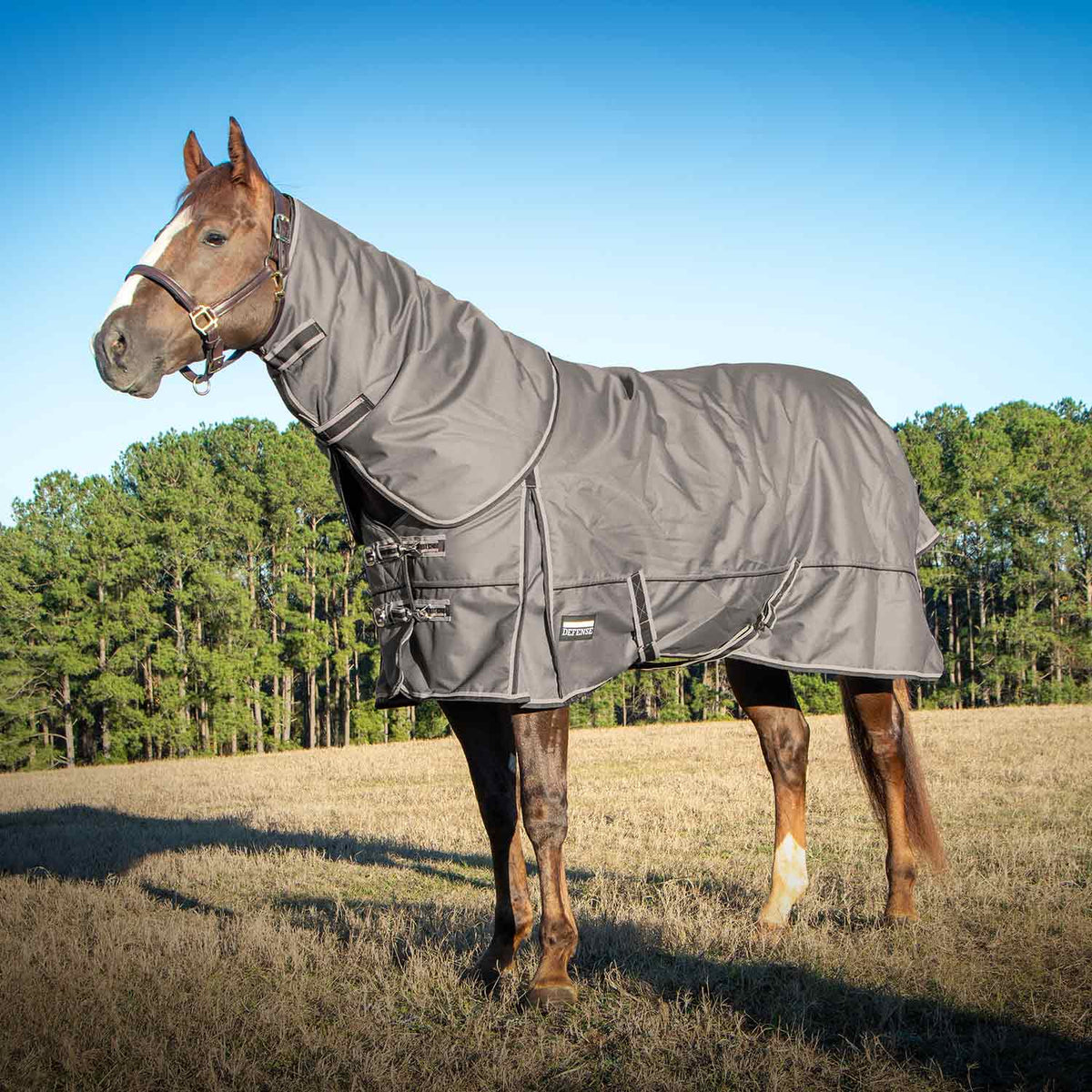 Jeffers Poplar Head "Defense" 1680 Denier Turnout Blanket with Detachable Neck, 240 Gram, Plymouth Brown