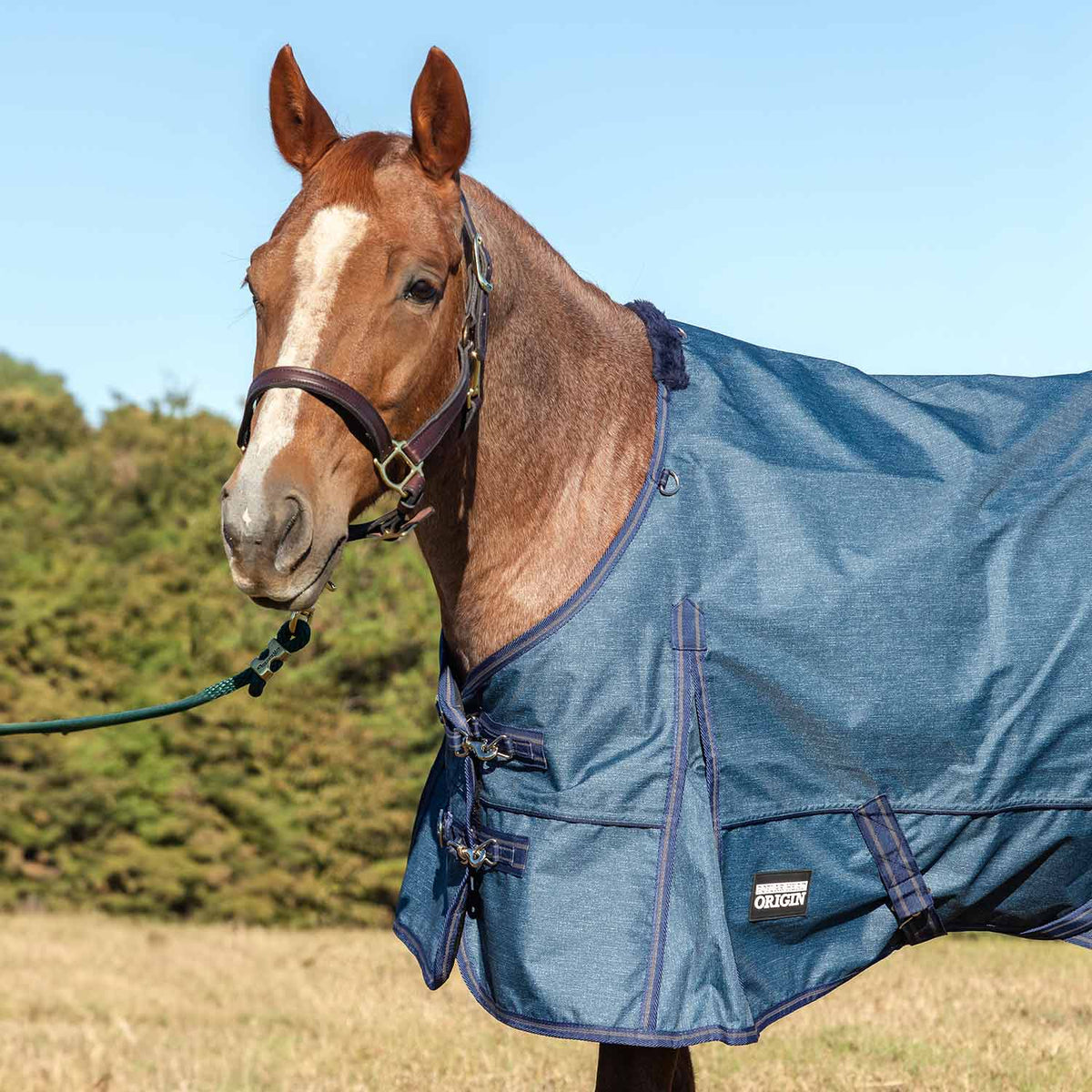 Jeffers Poplar Head "Origin" 600D Medium Weight Turnout Blanket, 240g | Waterproof & Breathable Horse Blanket