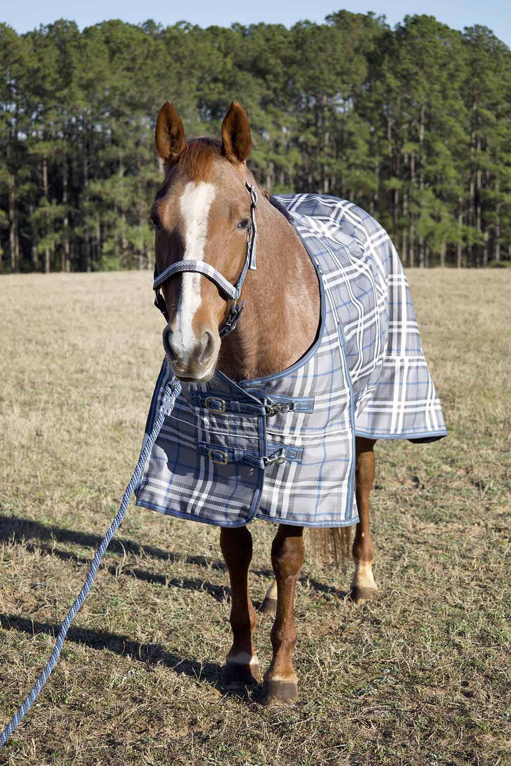 Jeffers Poplar Head "Refuge" 1200D Medium Weight Turnout Blanket, 240g - Waterproof, Breathable Horse Blanket