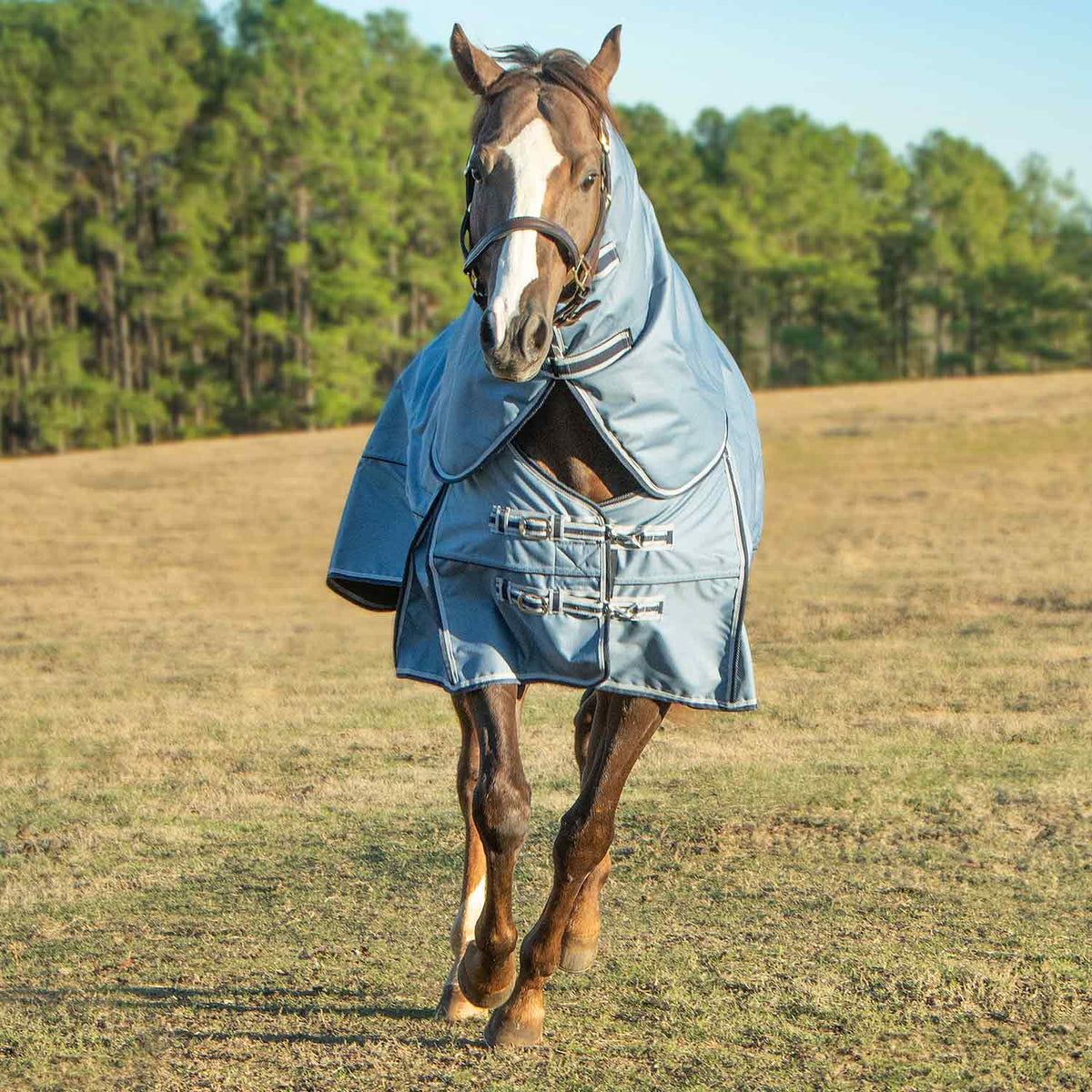 Jeffers Poplar Head "Refuge" 1200 Denier Turnout Blanket with Detachable Neck, 240 Gram, Hamilton Blue