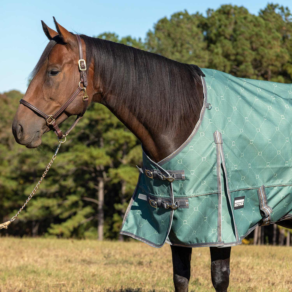 Jeffers Poplar Head Uniquely English 1200D Turnout Sheet, 0g - Waterproof & Breathable Lightweight Horse Blanket