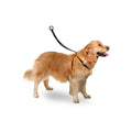 Karlie Easy Walker Dog Harness for Better Control Large 40-58 cm