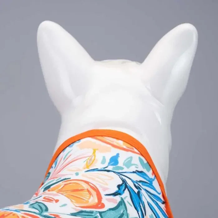 Lindo Orange Blossom Dog T-Shirt Lightweight Comfort Pet Apparel