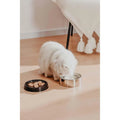 Pawgether Bowl 2 Stainless Steel Pet Food & Water Bowl 400ml