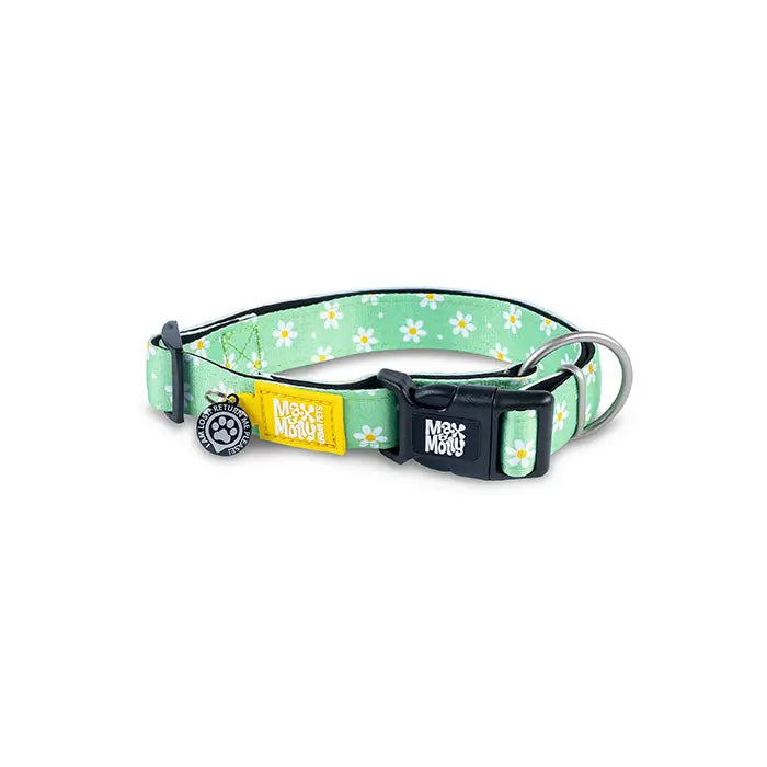 Max & Molly Margarite Smart ID Dog Collar X-Small