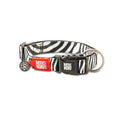 Max & Molly Smart ID Zebra Dog Collar for Small Breeds